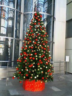 b0070001_13493612.jpg