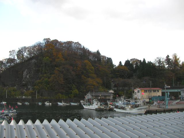 d0004301_1401296.jpg