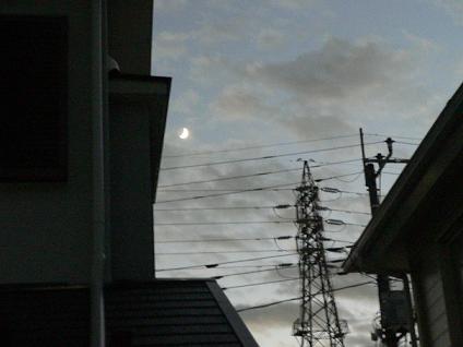 f0185902_1555940.jpg