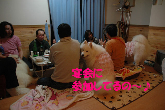 e0018604_147924.jpg