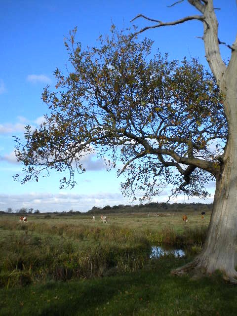 e0160905_5574624.jpg
