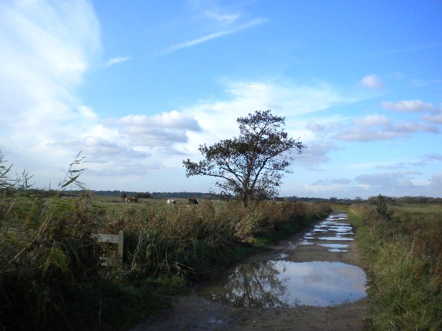 e0160905_62517.jpg
