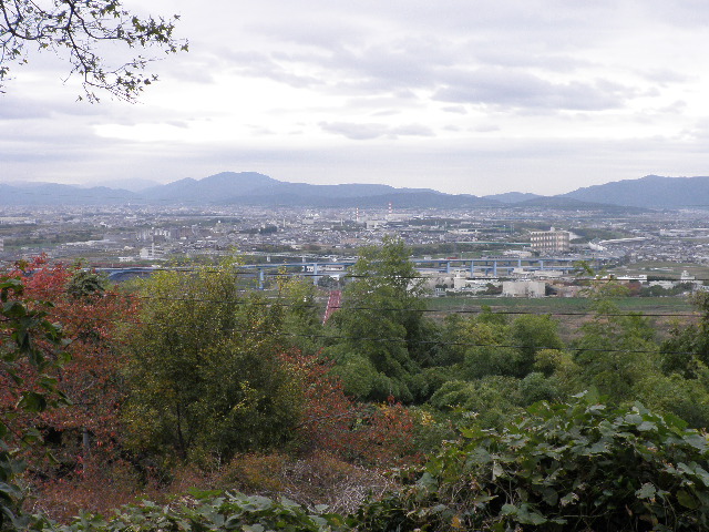 f0198306_1544066.jpg