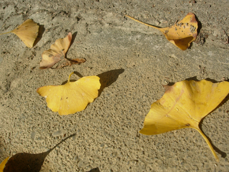 b0134008_16582442.jpg