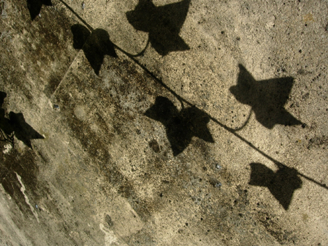 b0134008_16585572.jpg