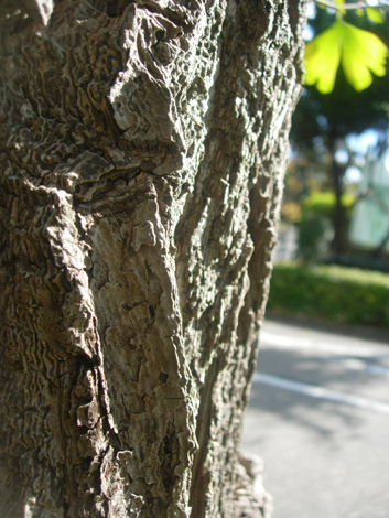 b0134008_16592348.jpg
