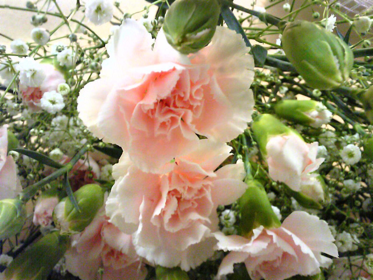 e0015108_1284614.jpg