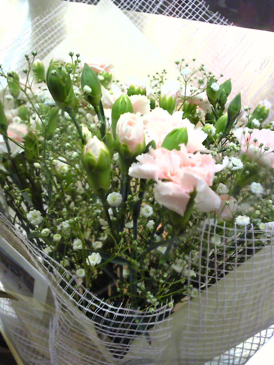 e0015108_1365360.jpg