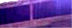 e0103408_1133264.gif