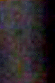 e0103408_1135266.gif
