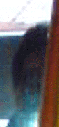 e0103408_11401221.gif