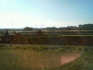 f0127408_22535762.jpg
