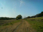 f0127408_22535793.jpg