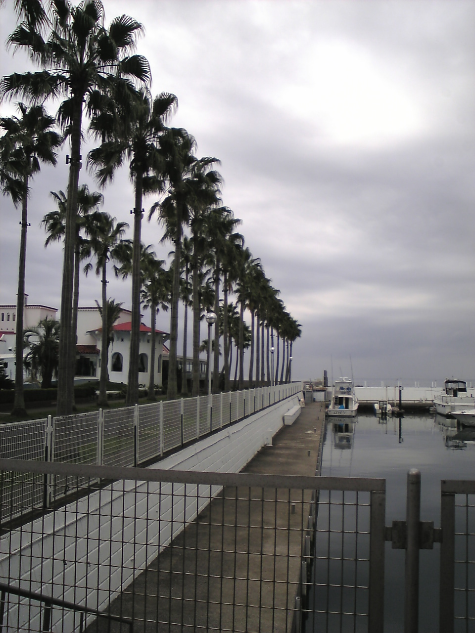 c0109109_13575788.jpg