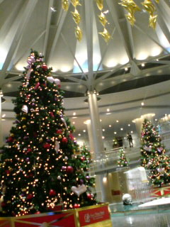 e0177509_4201131.jpg