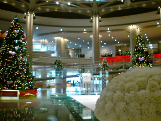 e0177509_4201145.jpg