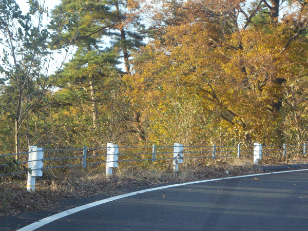 b0159611_20405286.gif