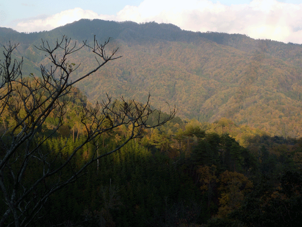 b0159611_20444557.gif