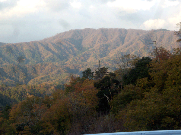 b0159611_20451351.gif