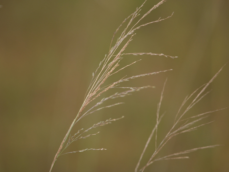 b0168218_3198.jpg