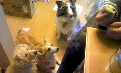 c0150520_1848467.jpg