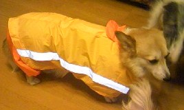 c0150520_19141847.jpg