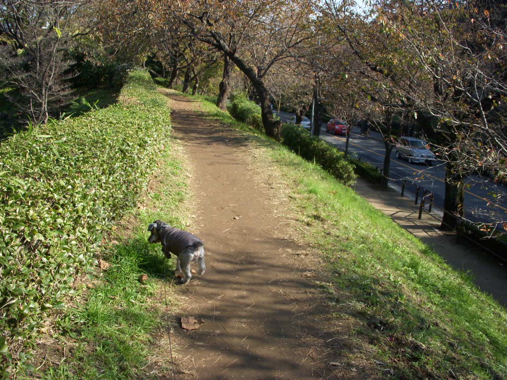 e0109622_14531729.jpg