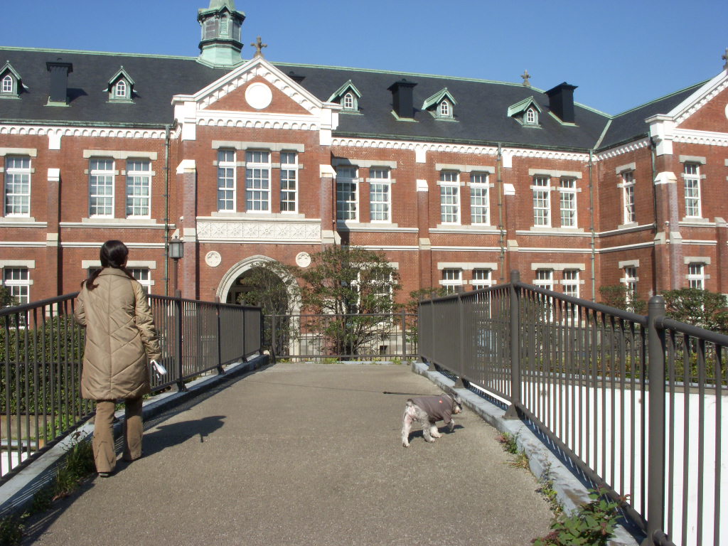 e0109622_1453582.jpg