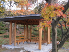b0147224_22325514.jpg