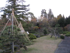 b0147224_2233139.jpg