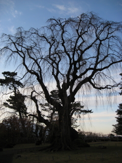 b0147224_22384426.jpg