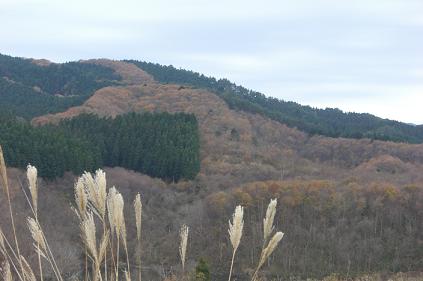 b0175525_1626916.jpg