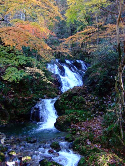 f0147025_21273963.jpg