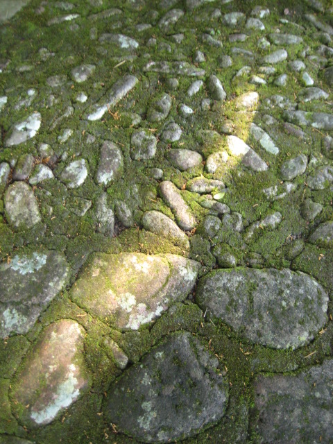 d0147727_19114111.jpg