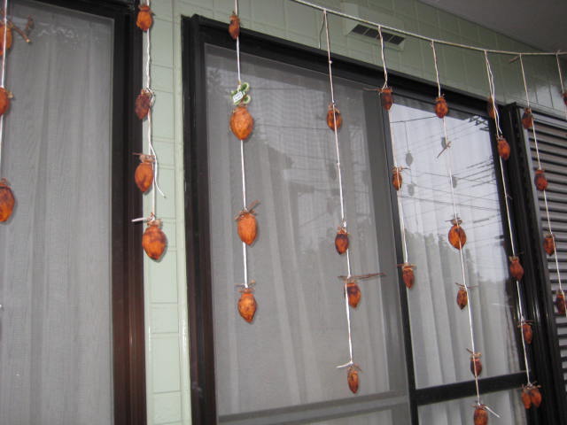 e0166032_20212022.jpg