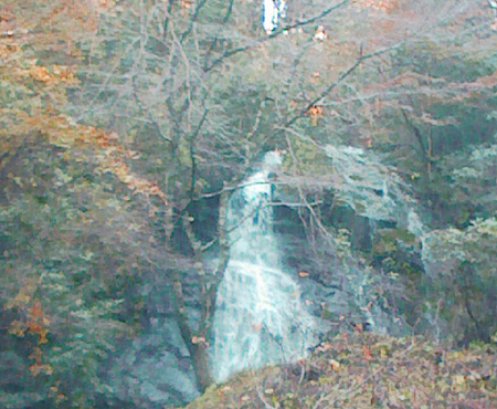 a0129233_20246.jpg