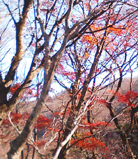 a0129233_203171.jpg