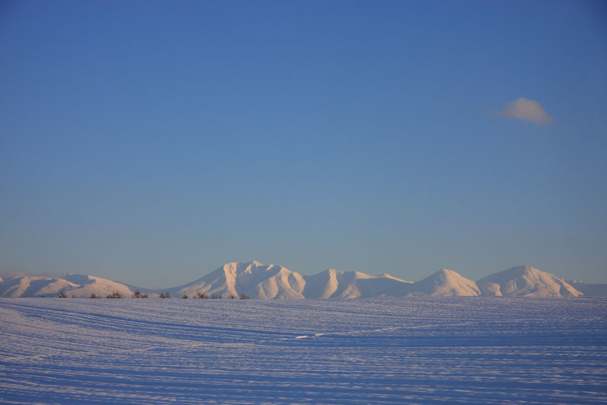 d0069235_215056100.jpg