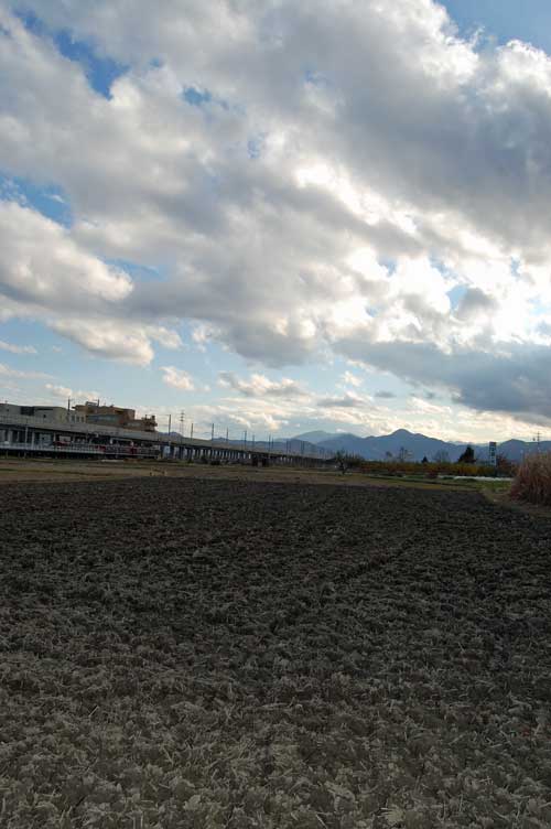 a0005436_1555643.jpg