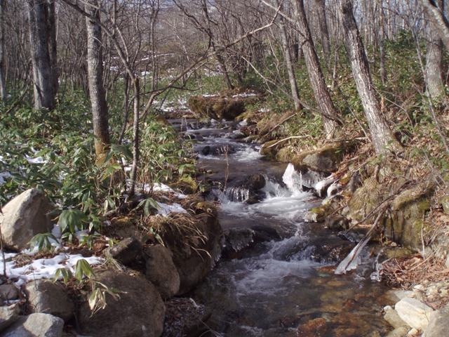 c0105338_18444228.jpg