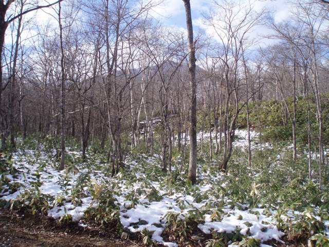 c0105338_1844778.jpg