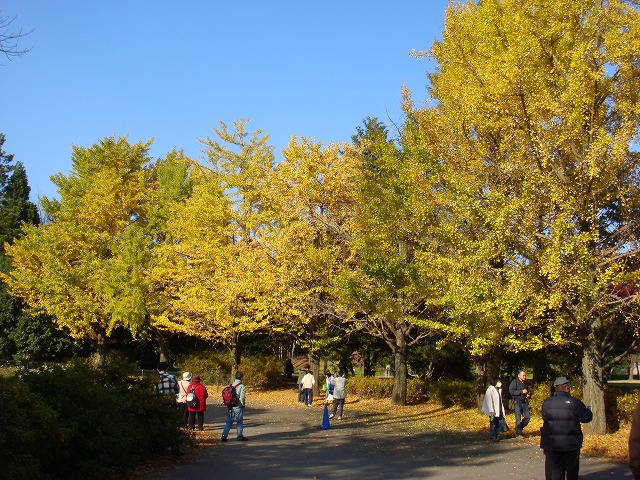 a0046339_15142585.jpg