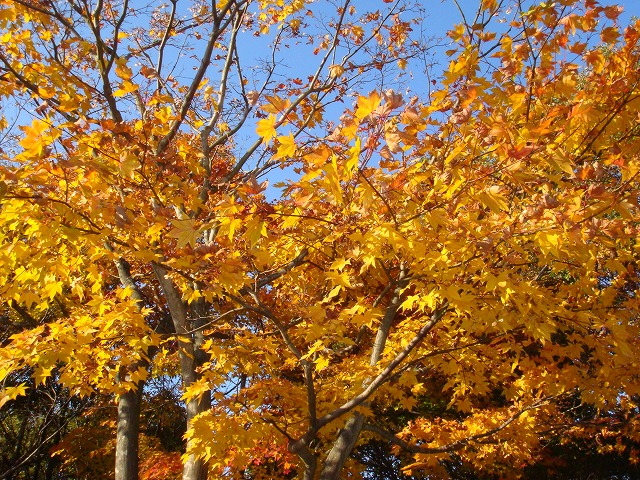 a0046339_15143571.jpg