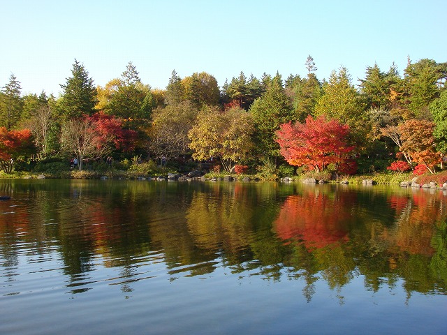 a0046339_15171749.jpg