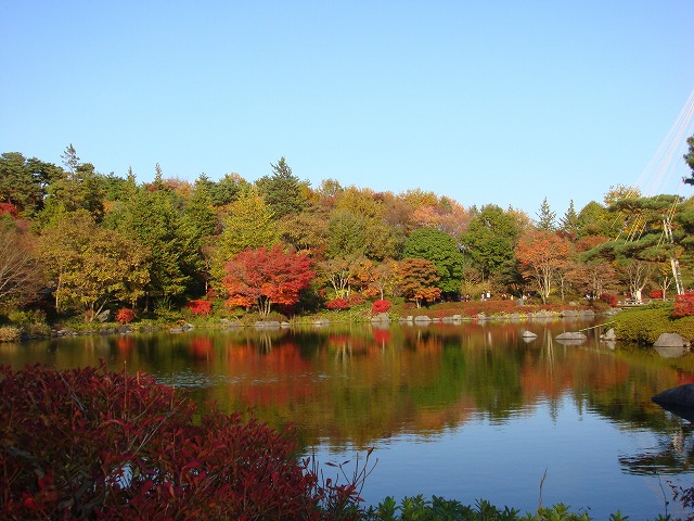 a0046339_1517529.jpg