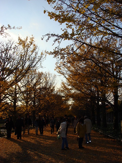 a0046339_15242345.jpg