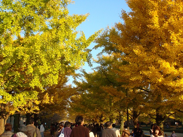 a0046339_1524788.jpg
