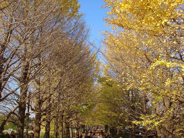 a0046339_157225.jpg