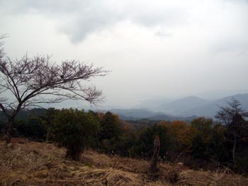 e0110940_0162446.jpg