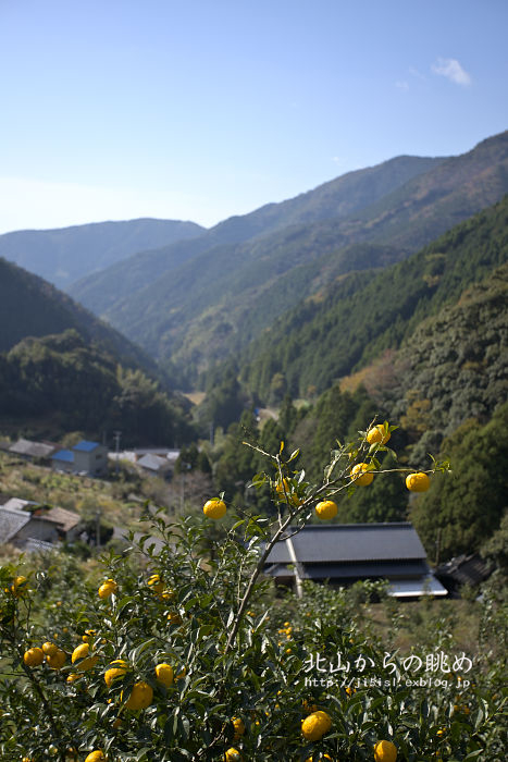 a0078341_1056530.jpg